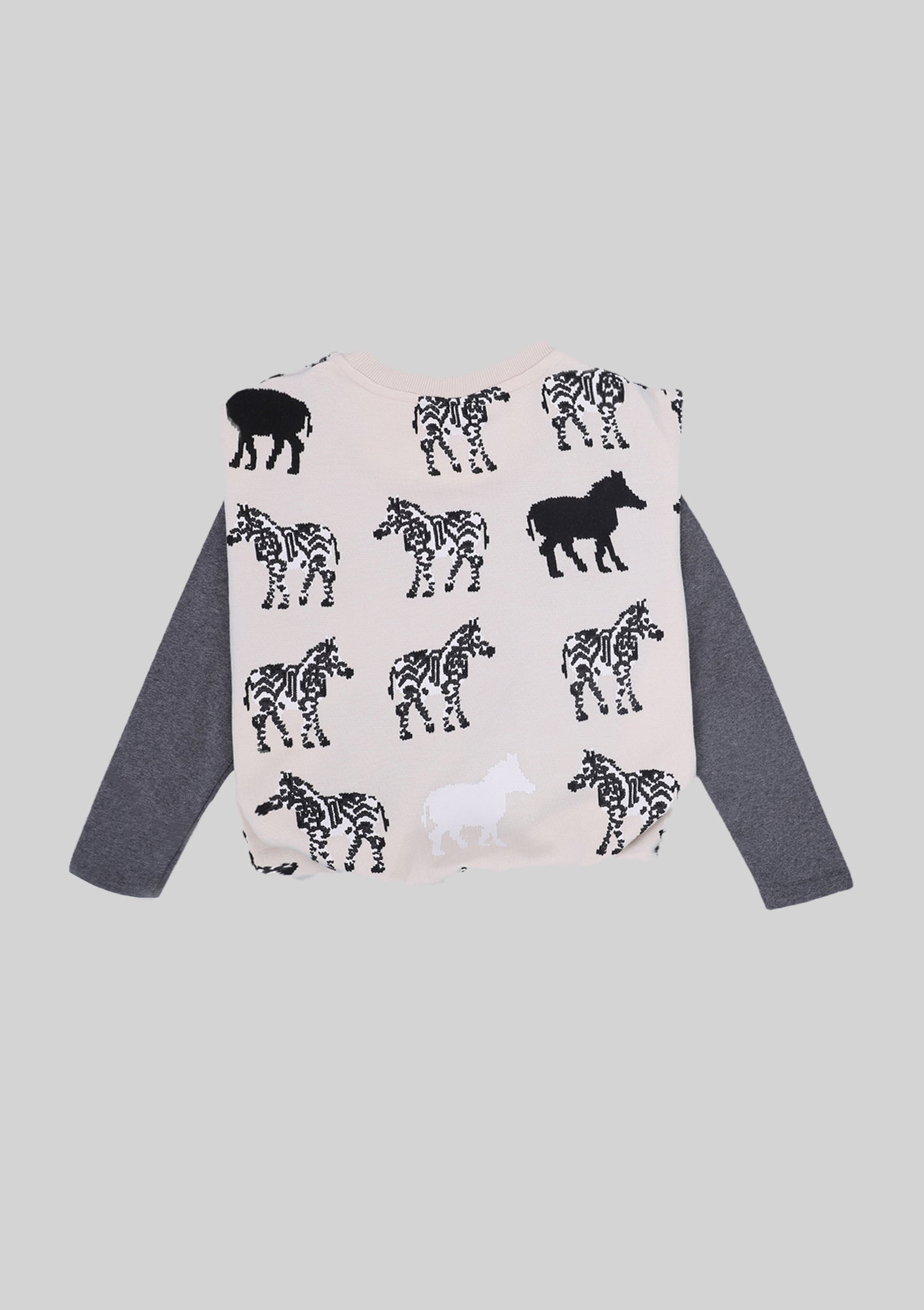 8 Bit Zebra Twofer