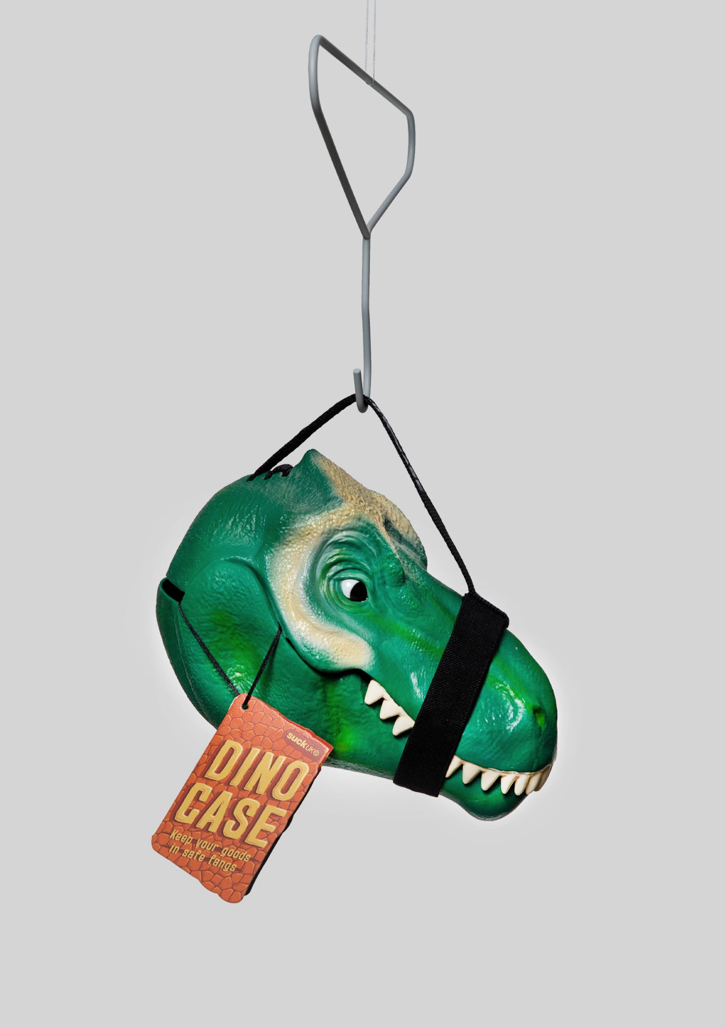 Dinosaur Lunchbox