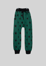 Load image into Gallery viewer, Green Star Print Sweats